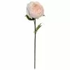 Hot Sale ???? 12 Pack: Light Pink King Peony Stem by Ashland® ???? -Ashland Sales MP501480 1