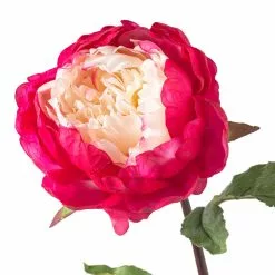 Best reviews of ???? 12 Pack: Fuchsia King Peony Stem by Ashland® ???? -Ashland Sales MP501483 20