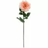 Flash Sale ???? 12 Pack: Coral Orlane Rose Stem by Ashland® ❤️ -Ashland Sales MP501486 1