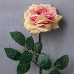 Flash Sale ???? 12 Pack: Coral Orlane Rose Stem by Ashland® ❤️ -Ashland Sales MP501486 22