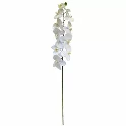 Budget ❤️ 8 Pack: White Orchid Stem by Ashland® ????