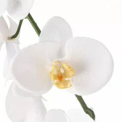 Budget ❤️ 8 Pack: White Orchid Stem by Ashland® ???? -Ashland Sales MP501488 20