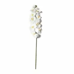 Budget ❤️ 8 Pack: White Orchid Stem by Ashland® ???? -Ashland Sales MP501488 21
