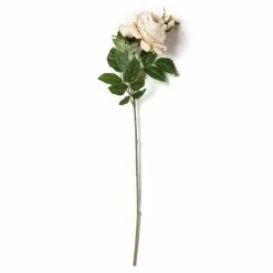 Outlet ???? 12 Pack: Toast English Rose Stem by Ashland® ???? -Ashland Sales MP501510 21