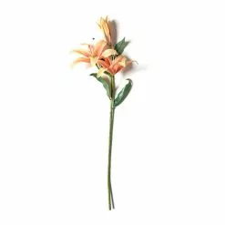 Best reviews of ???? 12 Pack: Flame Casablanca Lily Stem by Ashland® ???? -Ashland Sales MP501957 21