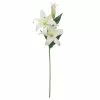 Best Pirce ???? 12 Pack: White Casablanca Lily Stem by Ashland® ????