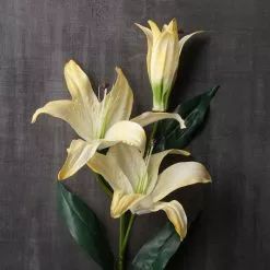 Best Pirce ???? 12 Pack: White Casablanca Lily Stem by Ashland® ???? -Ashland Sales MP501958 22