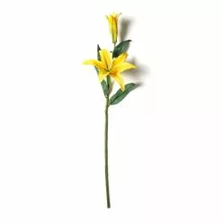 Cheap ???? 12 Pack: Yellow Casablanca Lily Stem by Ashland® ⭐ -Ashland Sales MP501959 21