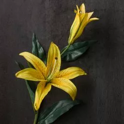 Cheap ???? 12 Pack: Yellow Casablanca Lily Stem by Ashland® ⭐ -Ashland Sales MP501959 22