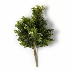 Buy ???? 9 Pack: Boxwood & Berry Bush by Ashland® ⭐ -Ashland Sales MP546917 21