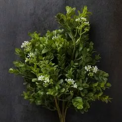 Buy ???? 9 Pack: Boxwood & Berry Bush by Ashland® ⭐ -Ashland Sales MP546917 22