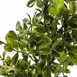 Coupon ???? 24 Pack: Green Boxwood Pick by Ashland® ???? 9 Coupon ???? 24 Pack: Green Boxwood Pick by Ashland® ???? -Ashland Sales MP546920 20