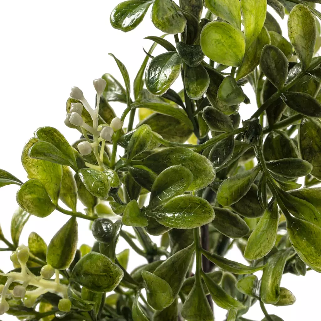 Coupon ???? 24 Pack: Green Boxwood Pick by Ashland® ???? 5 Coupon ???? 24 Pack: Green Boxwood Pick by Ashland® ???? - Image 3