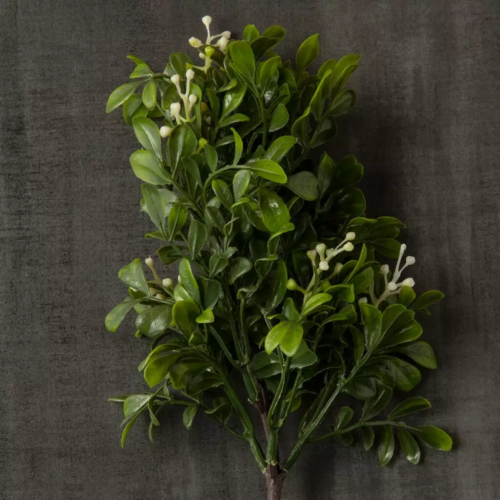 Coupon ???? 24 Pack: Green Boxwood Pick by Ashland® ???? 7 Coupon ???? 24 Pack: Green Boxwood Pick by Ashland® ???? - Image 5