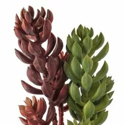 Flash Sale ???? 24 Pack: Assorted 3 Head Succulent Pick by Ashland® ???? -Ashland Sales MP546921 20