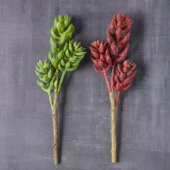 Flash Sale ???? 24 Pack: Assorted 3 Head Succulent Pick by Ashland® ???? -Ashland Sales MP546921 22