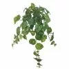 Deals ???? 12 Pack: Hanging Philo Bush by Ashland® ⭐ -Ashland Sales MP547222 1