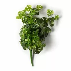 Best deal ❤️ 12 Pack: Split Hanging Philo Bush by Ashland® ???? -Ashland Sales MP547223 21