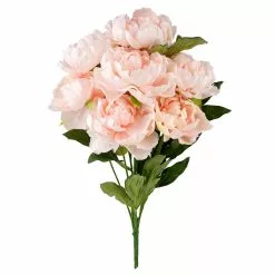 Deals ???? 12 Pack: Coral Peony Bush by Ashland® ????