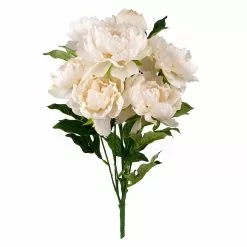 Cheapest ???? 12 Pack: Cream Peony Bush by Ashland® ????
