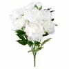 New ???? 12 Pack: White Peony Bush by Ashland® ???? -Ashland Sales MP547350 1