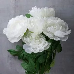 New ???? 12 Pack: White Peony Bush by Ashland® ???? -Ashland Sales MP547350 22