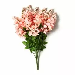 Best Sale ???? 12 Pack: Coral Wisteria Bush by Ashland® ???? 11 Best Sale ???? 12 Pack: Coral Wisteria Bush by Ashland® ???? -Ashland Sales MP547397 21