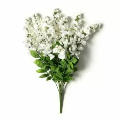 Hot Sale ???? 12 Pack: White Wisteria Bush by Ashland® ???? -Ashland Sales MP547400 21