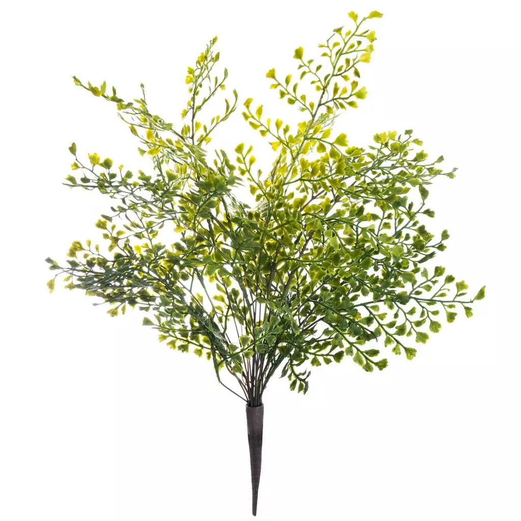 Buy ???? 12 Pack: Forest Fern Bush by Ashland® ???? 3 Buy ???? 12 Pack: Forest Fern Bush by Ashland® ????