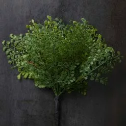 Buy ???? 12 Pack: Forest Fern Bush by Ashland® ???? 9 Buy ???? 12 Pack: Forest Fern Bush by Ashland® ???? -Ashland Sales MP547457 22