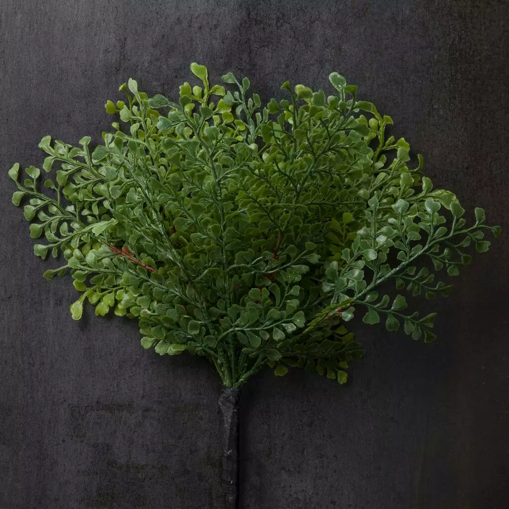 Buy ???? 12 Pack: Forest Fern Bush by Ashland® ???? 5 Buy ???? 12 Pack: Forest Fern Bush by Ashland® ???? - Image 3