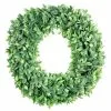 Hot Sale ???? 12 Pack: 20" Foliage Wreath by Ashland® ????