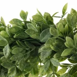 Hot Sale ???? 12 Pack: 20" Foliage Wreath by Ashland® ???? -Ashland Sales MP547486 20