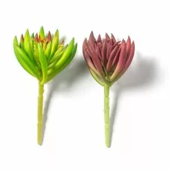 Best Sale ???? 12 Pack: Assorted Succulent Pick by Ashland® ???? 16 Best Sale ???? 12 Pack: Assorted Succulent Pick by Ashland® ???? -Ashland Sales MP547488 21