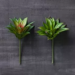 Deals ???? 12 Pack: Assorted Agave Pick by Ashland® ???? -Ashland Sales MP547490 22