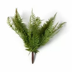 Cheapest ???? 8 Pack: Green Boston Fern Bush by Ashland® ???? -Ashland Sales MP547493 21
