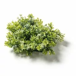 Hot Sale ⌛ 8 Pack: Green Boxwood Bush by Ashland® ???? -Ashland Sales MP547534 21
