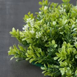 Hot Sale ⌛ 8 Pack: Green Boxwood Bush by Ashland® ???? -Ashland Sales MP547534 25