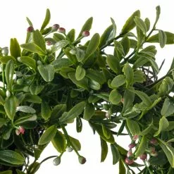 Best deal ???? 6 Pack: 9" Pink Baby's Breath Wreath by Ashland® ???? -Ashland Sales MP547546 20