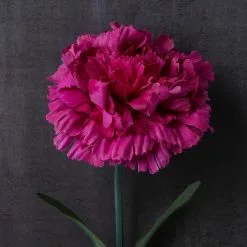 Best Sale ???? 24 Pack: Hot Pink Carnation Stem by Ashland® ???? -Ashland Sales MP626417 22