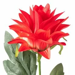 Hot Sale ???? 12 Pack: Red Hops Stem by Ashland® ???? -Ashland Sales MP626421 20