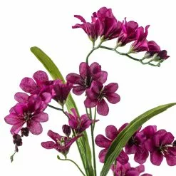 Buy ✨ 12 Pack: Hot Purple Freesia Spray by Ashland® ???? 10 Buy ✨ 12 Pack: Hot Purple Freesia Spray by Ashland® ???? -Ashland Sales MP626423 20