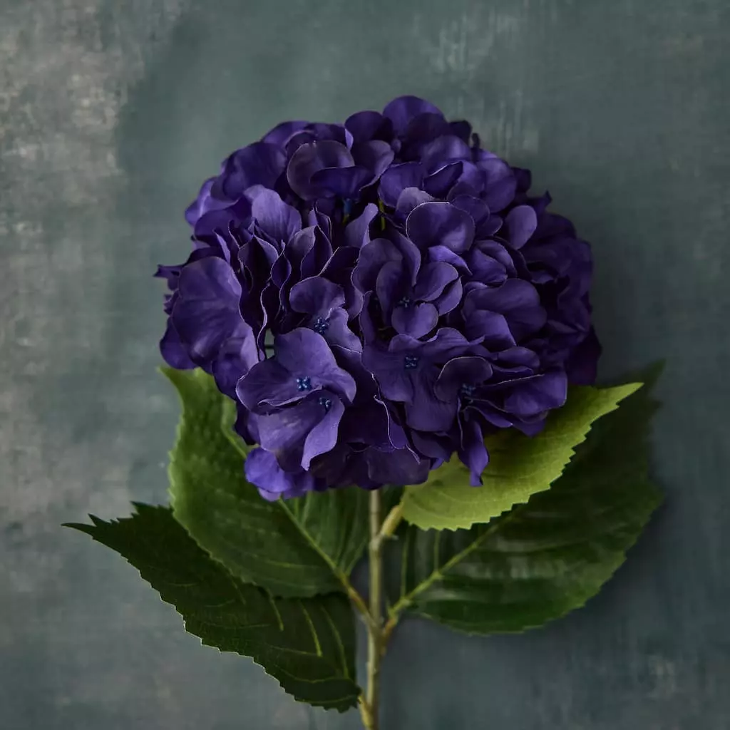 Outlet ✔️ 12 Pack: Purple-Blue Hydrangea Stem by Ashland® ⌛ 4 Outlet ✔️ 12 Pack: Purple-Blue Hydrangea Stem by Ashland® ⌛ - Image 2