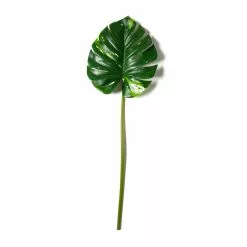 Best Pirce ✨ 12 Pack: Monstera Leaf Stem by Ashland® ???? -Ashland Sales MP626467 21