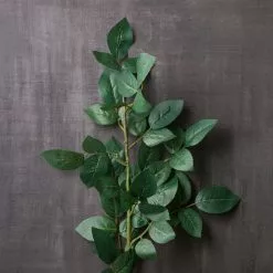 Top 10 ???? 12 Pack: Rose Leaf Stem by Ashland® ???? -Ashland Sales MP626471 22