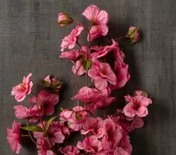 Brand new ???? 12 Pack: Mauve Peach Blossom Spray by Ashland® ???? -Ashland Sales MP626479 25