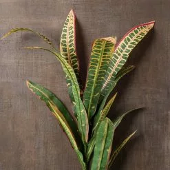 Wholesale ???? 12 Pack: Green & Yellow Croton Stem by Ashland® ???? -Ashland Sales MP626491 25