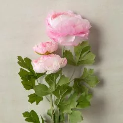 Coupon ???? 12 Pack: Pink Ranunculus Spray by Ashland® ???? -Ashland Sales MP626529 25
