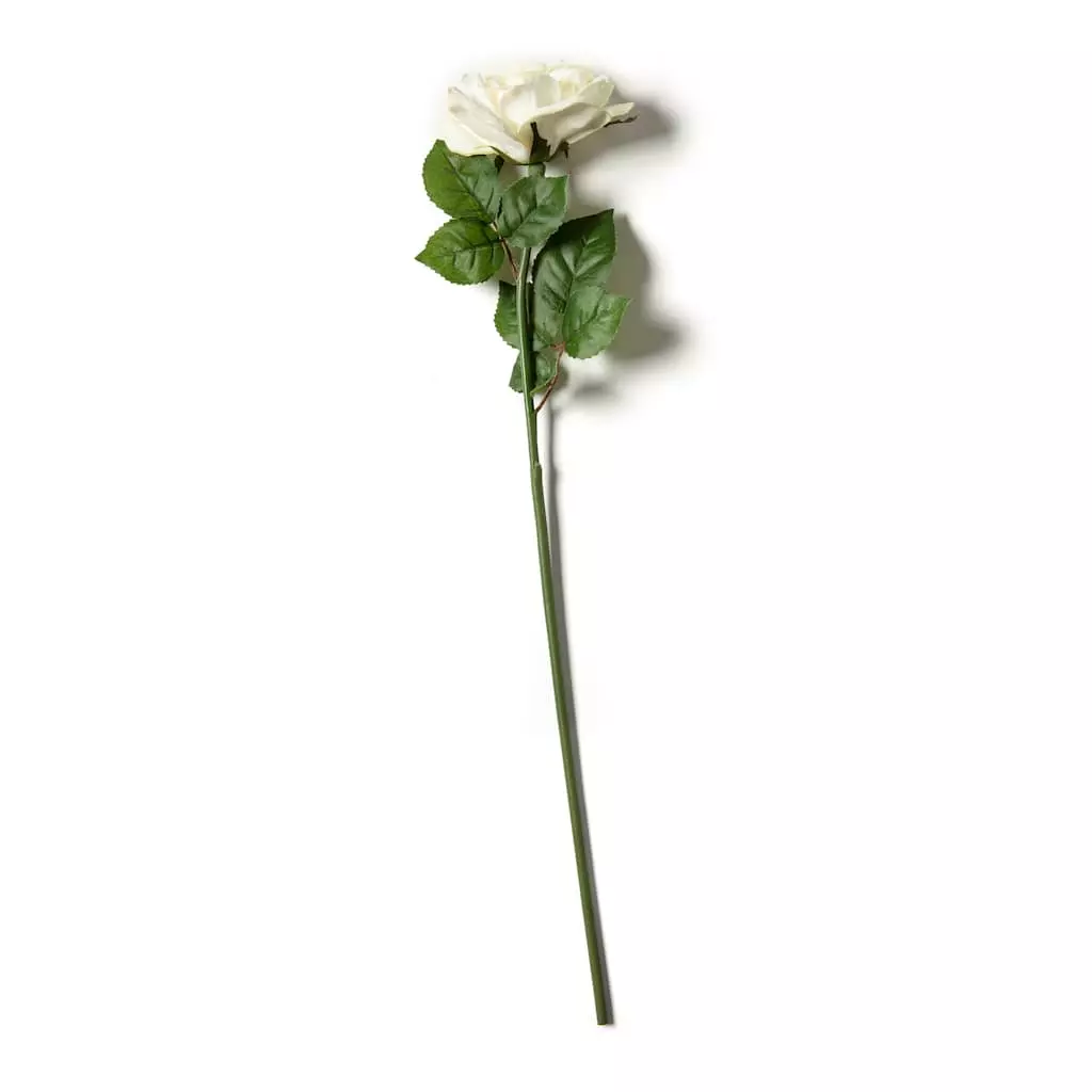 Deals ???? 6 Pack: White Rose Stem by Ashland® ???? 6 Deals ???? 6 Pack: White Rose Stem by Ashland® ???? - Image 4