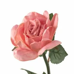 Discount ???? 6 Pack: Blush Rose Stem by Ashland® ???? -Ashland Sales MP626864 20